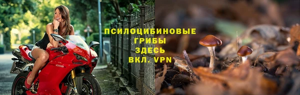 круглые Алзамай
