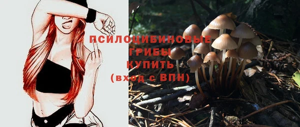 круглые Алзамай