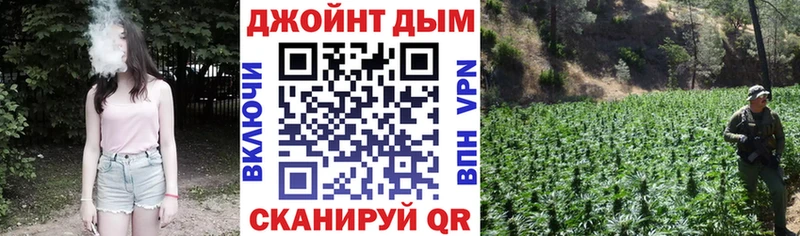 Каннабис конопля Аткарск